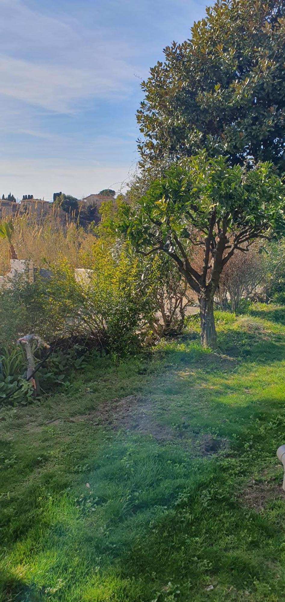 Plein Sud Villa Tourrettes-sur-Loup Eksteriør bilde