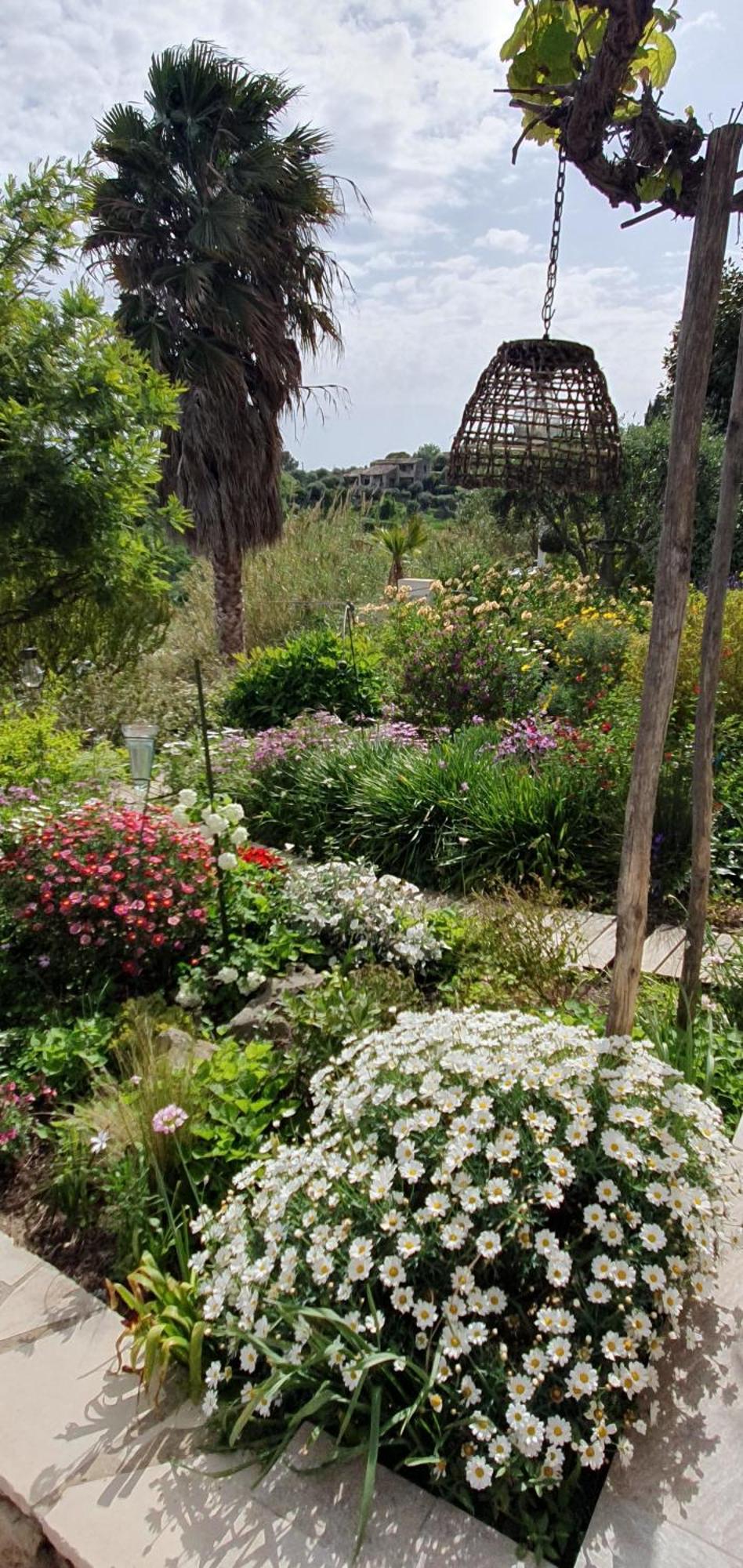 Plein Sud Villa Tourrettes-sur-Loup Eksteriør bilde